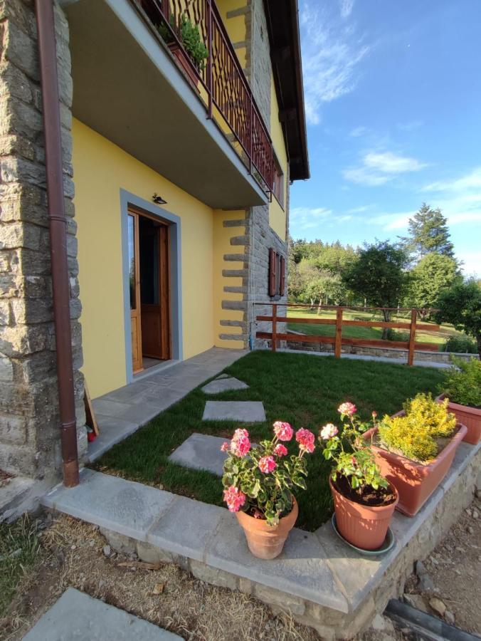 براتوفيتشيو B&B Vista Casentino المظهر الخارجي الصورة