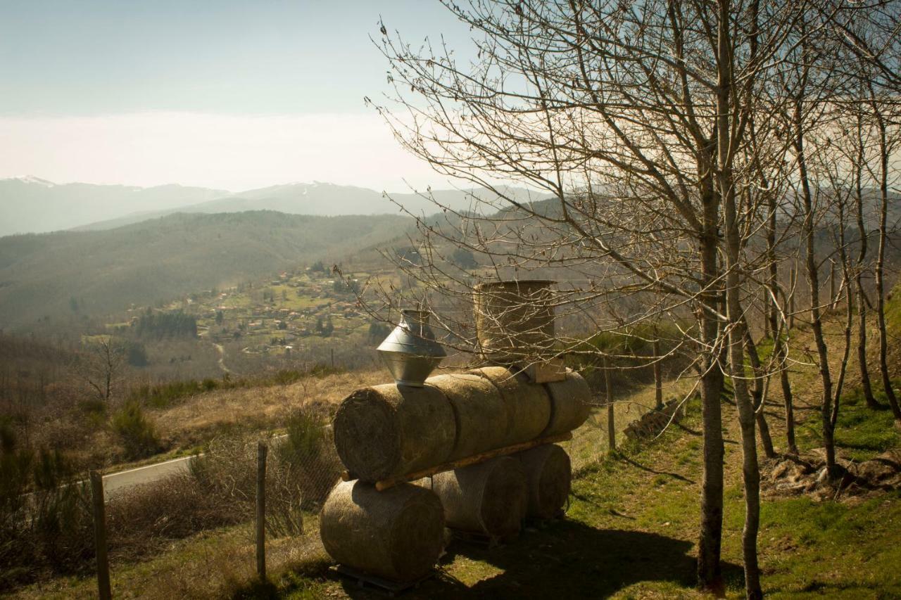 براتوفيتشيو B&B Vista Casentino المظهر الخارجي الصورة