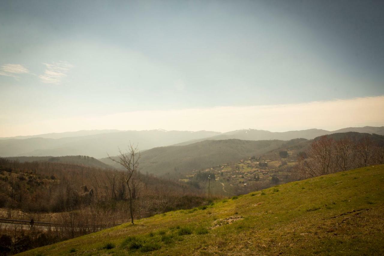 براتوفيتشيو B&B Vista Casentino المظهر الخارجي الصورة