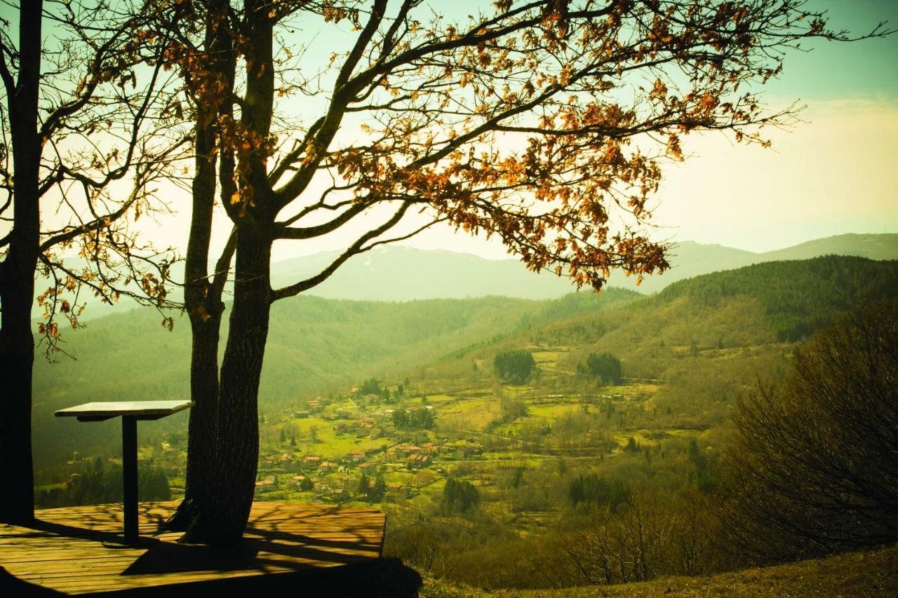 براتوفيتشيو B&B Vista Casentino المظهر الخارجي الصورة