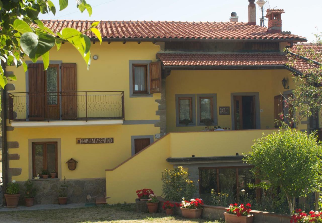 براتوفيتشيو B&B Vista Casentino المظهر الخارجي الصورة