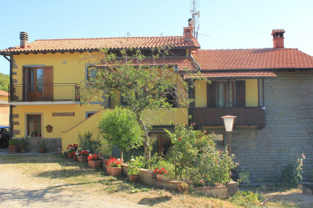 براتوفيتشيو B&B Vista Casentino المظهر الخارجي الصورة