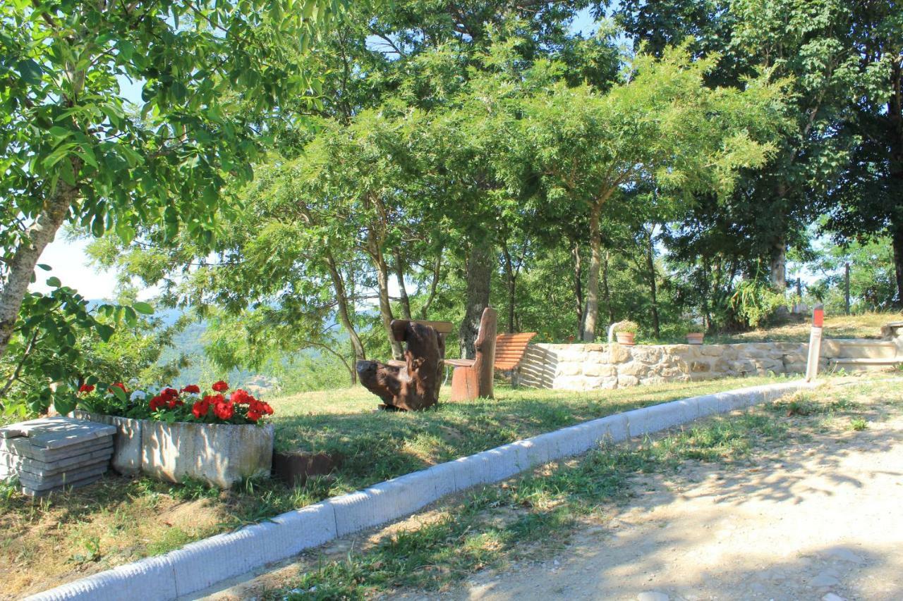 براتوفيتشيو B&B Vista Casentino المظهر الخارجي الصورة